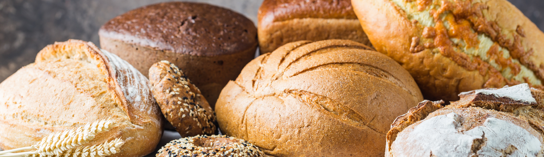 Serving Up Digital Efficiency: Optimizing B2B Ordering for Food Service