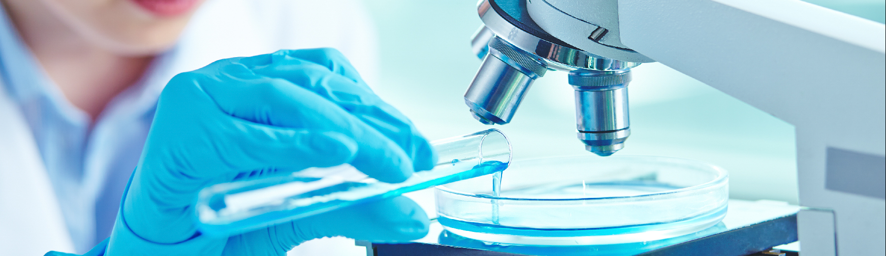 Securing Growth: Digital Transformation with Integrated Sales and Marketing